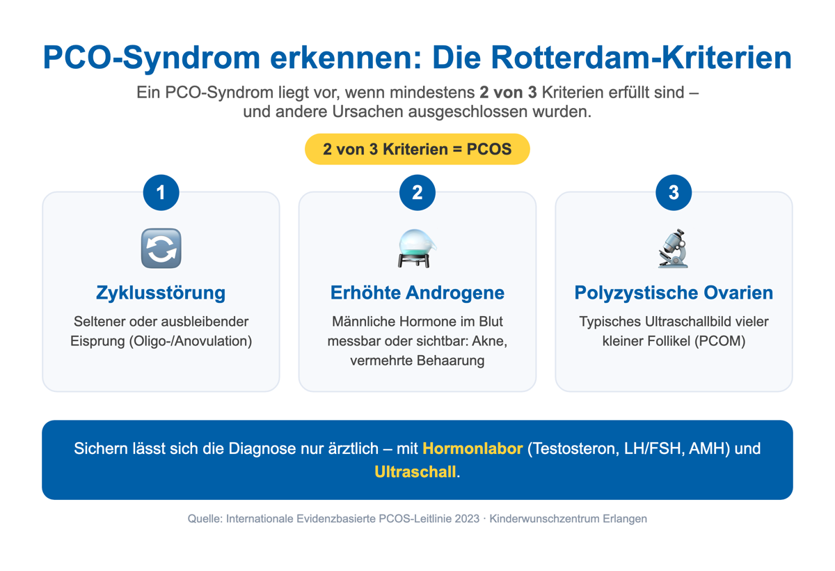 Rotterdam-Kriterien zur Diagnose des PCO-Syndroms: Zyklusstörung, erhöhte Androgene und polyzystische Ovarien – zwei von drei Kriterien bedeuten PCOS